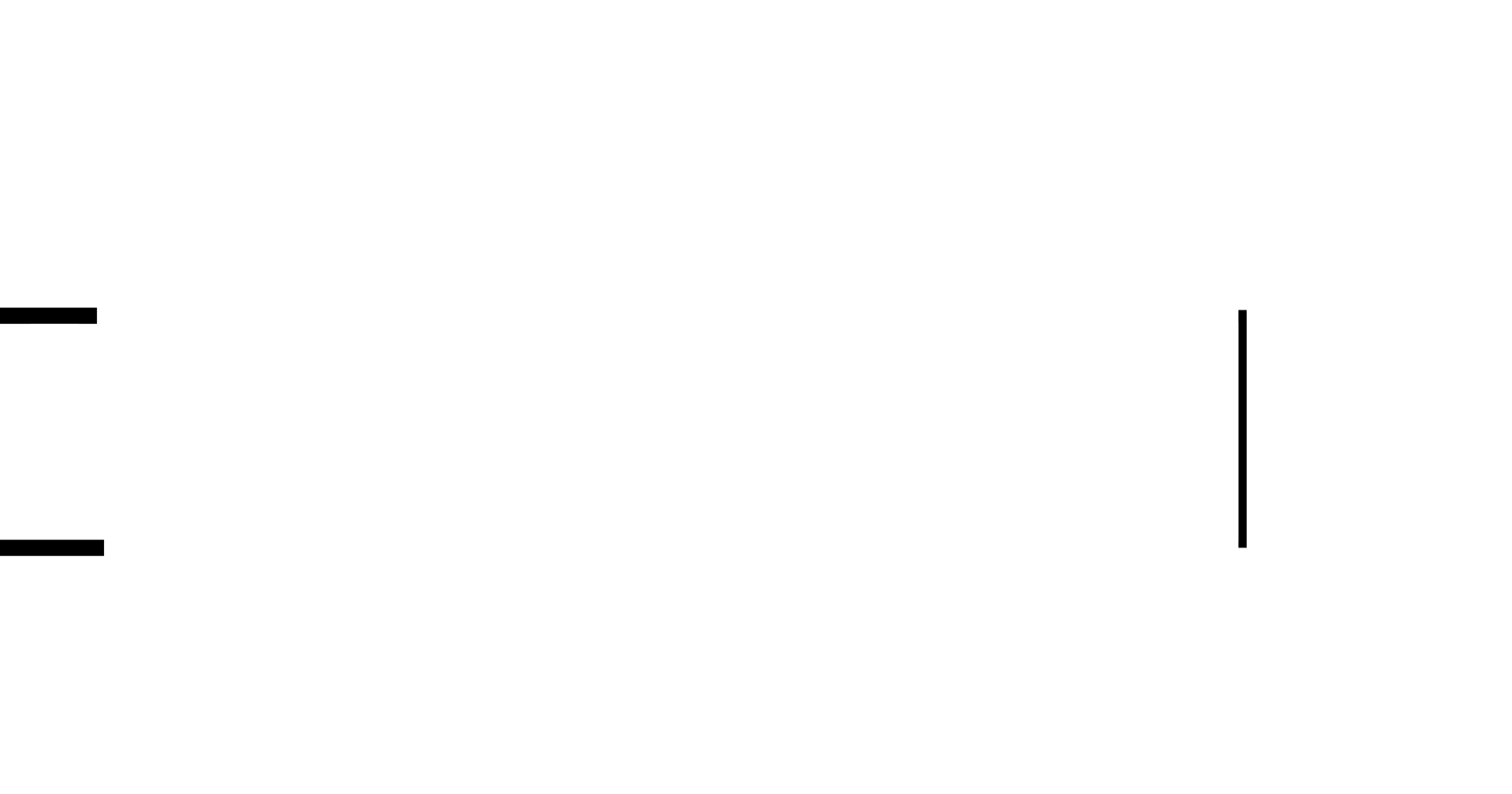 Importix wordmark